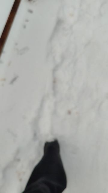 Прогулочка