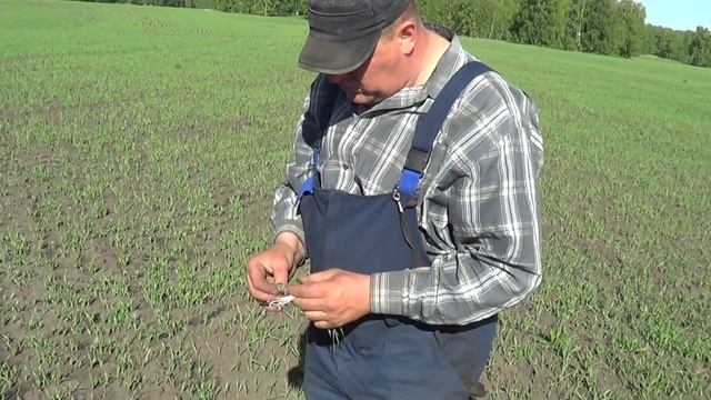 отзывы работы бороны БДТ-АГРО