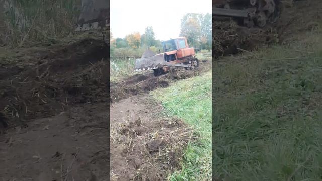дт 75 выкорчевка кустов у пруда