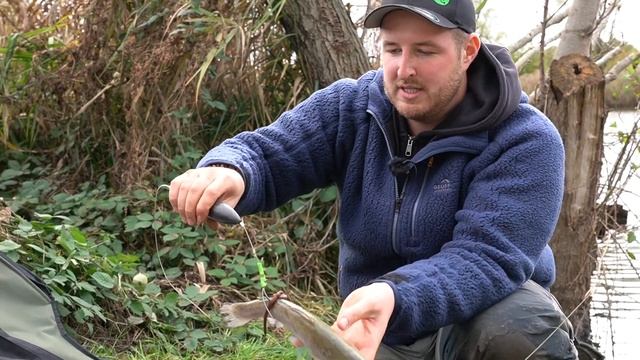 B7788f2bae485d100772bff605d5f8ec