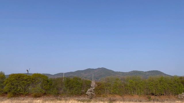 Mikado Logo 700 Blade 715mm Replacement