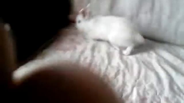 5130a93af1743f299d47331a85566140