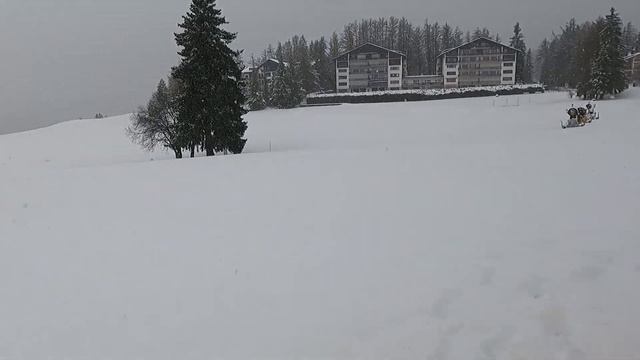 4434c73b80aa22bf9ec1cb412cc604fe