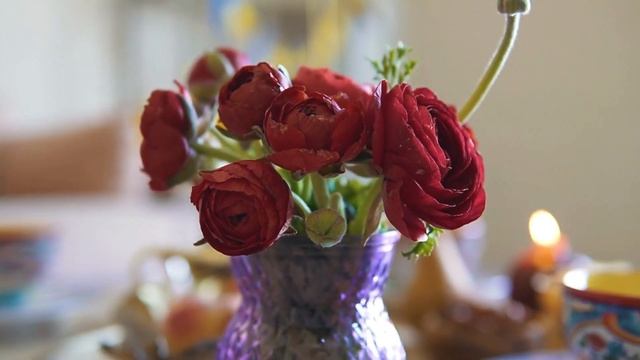 Rose Bokeh | Free Stock Footage