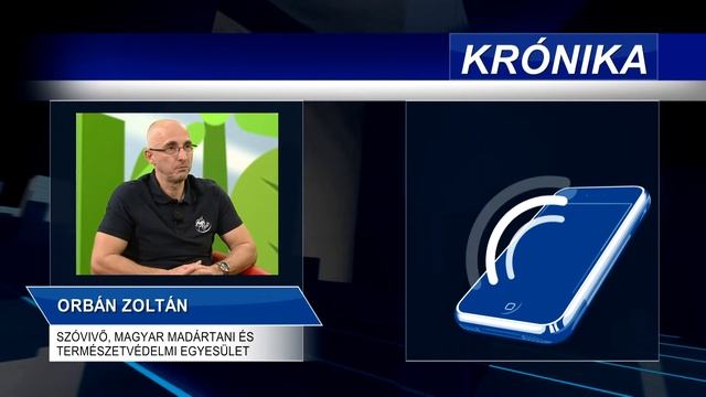Krónika: A Tavasz Kiemelt Fecskevédelmi Időszak (2022.03.02.)