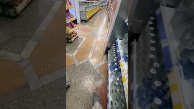 Тухлопритончик Сокол