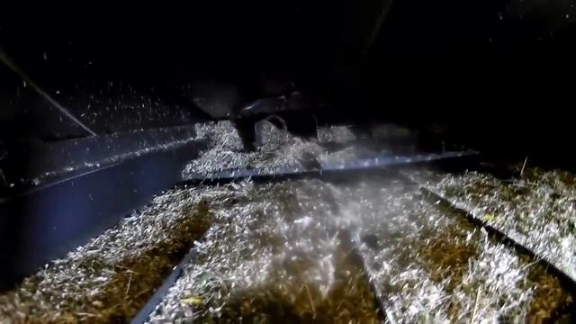 Зелень в пшенице! Справится ли New Holland TC5.90 с зелёной массой?