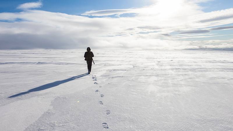 Белое безмолвие. Владимир Высоцкий