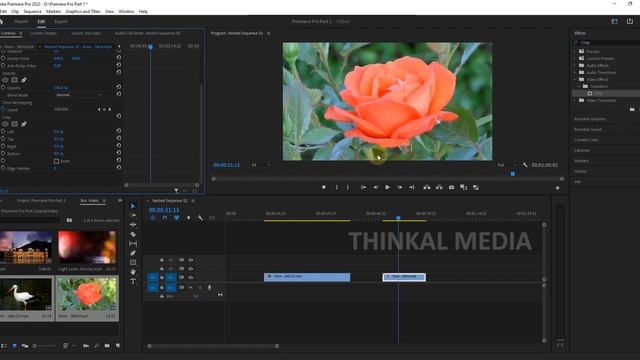 Video Editing | Adjustment Layer, Crop | Adobe Premiere Pro Part 11 | പ്രിമിയര് പ്രോ മലയാളം