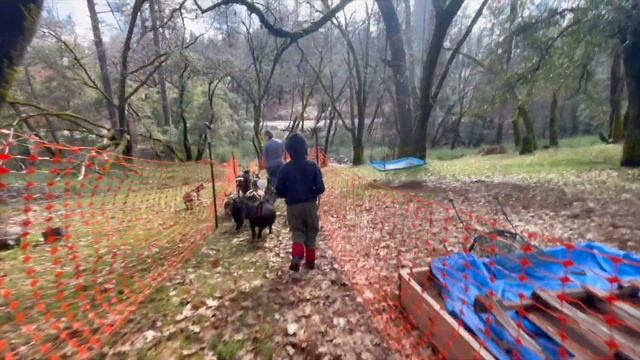 У нас пополнение))))