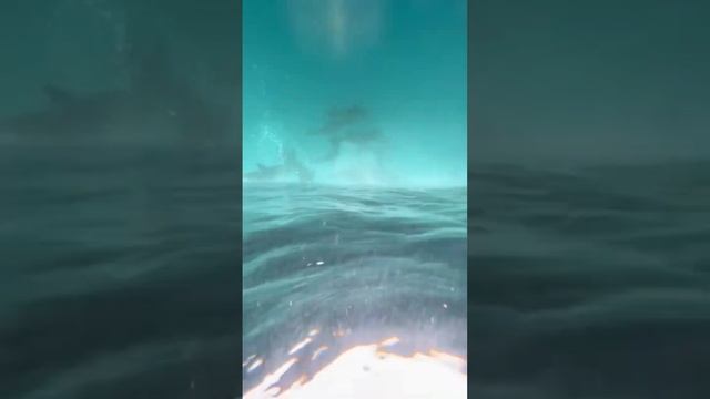 Точка немо на русском