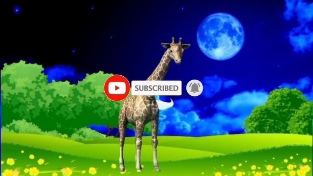 Jiraf,tiger,lion,cow, Peacock Animals