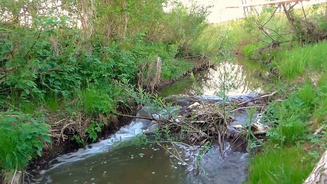 A2da635cb705d1ea5963ad251d8036ef