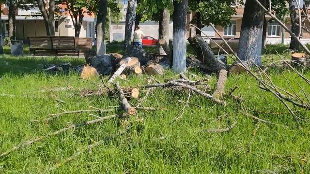 Утренняя прогулка // 50 км пробег на Caterwil Ultra 4WD