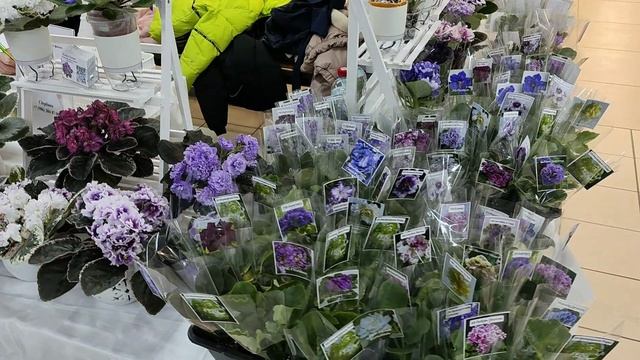 VID_20250104_095035(1)(0)