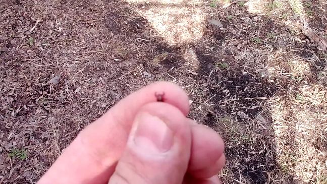 Хутор Вишняковых атаковали клещи ! Хорошая  погода,  не только для нас радость !