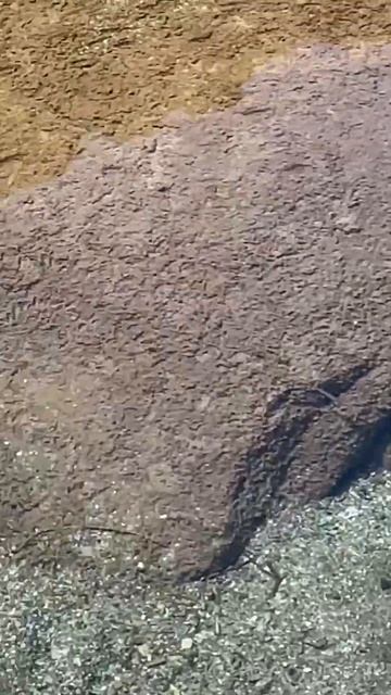 A50b8fb3d5e670367bb8fbe48bd9645f