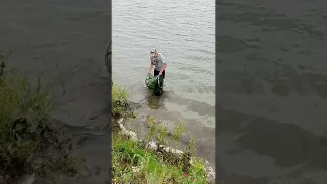 Рыбалка за 2 ночи сазана нет