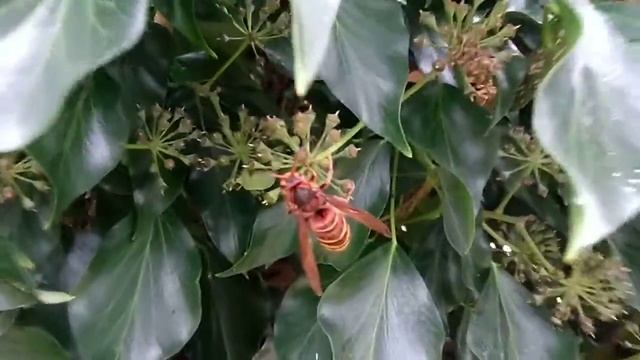 84c95cffe560528792f332e50f84abee