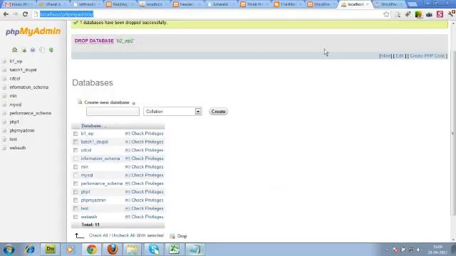 Install Wordpress & Other Cms On Xaamp / Localhost