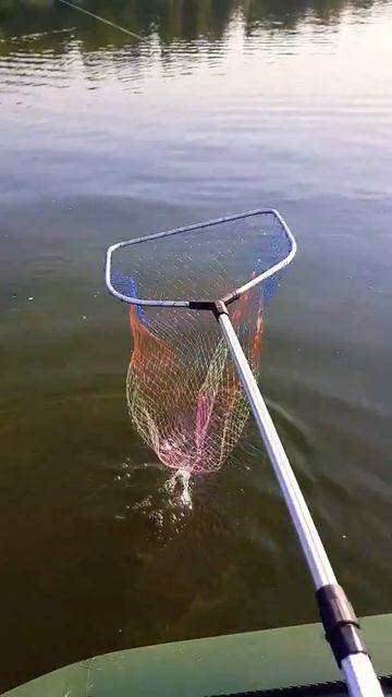 Троллинг Река Днепр