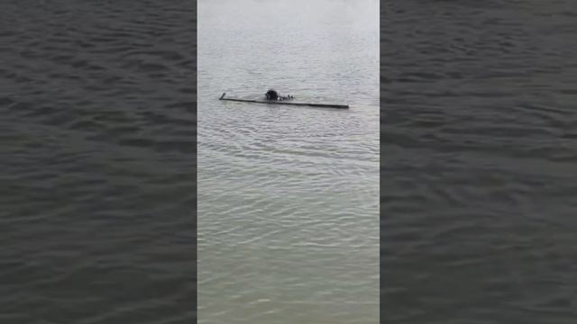 водолаз . Краснодар , как найти телефон под водой