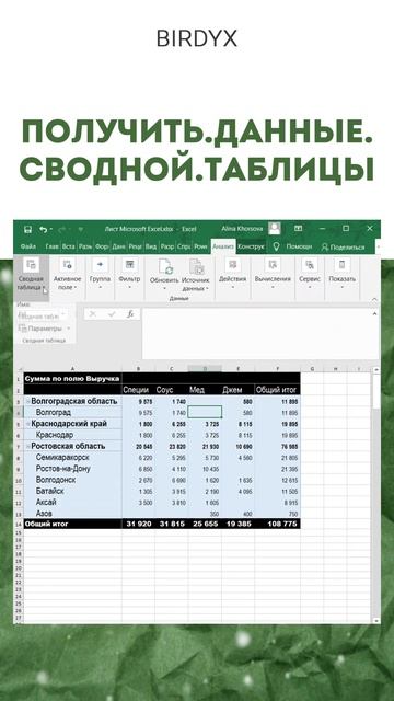 Birdyx. Excel и Google таблицы для бизнеса