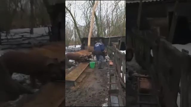 06995715c85c1bf01349d23b0c4862f2