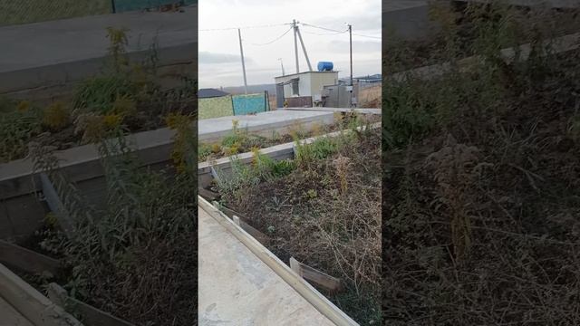 #дом своими руками#труженики#Коля и Таня#прекрасный вид #Тула #октябрь #2024