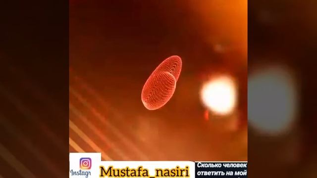 ☝️☝️☝️☝️