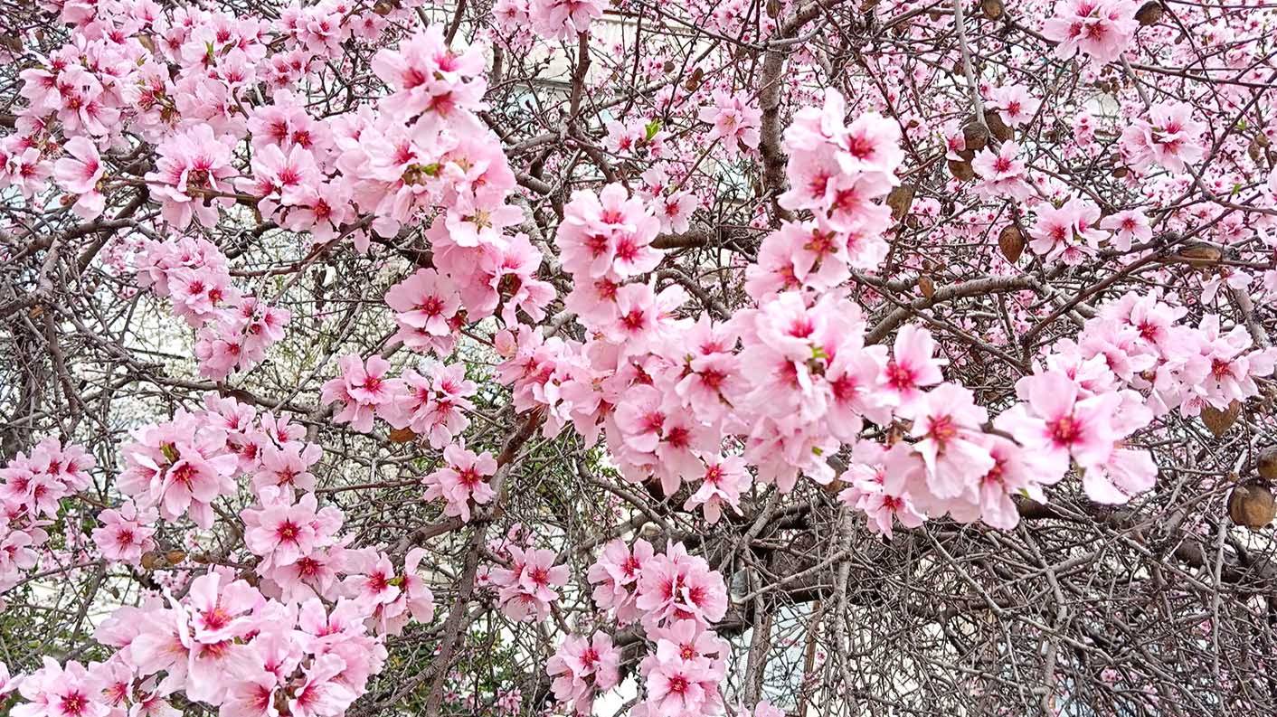 F3984bb6126a2f742d864da96d6016ff