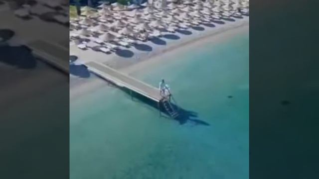 Кыялыныздагы сайакаттарга кантип жеткиниз келсе анда мага байланышка чыккыла.79259234006