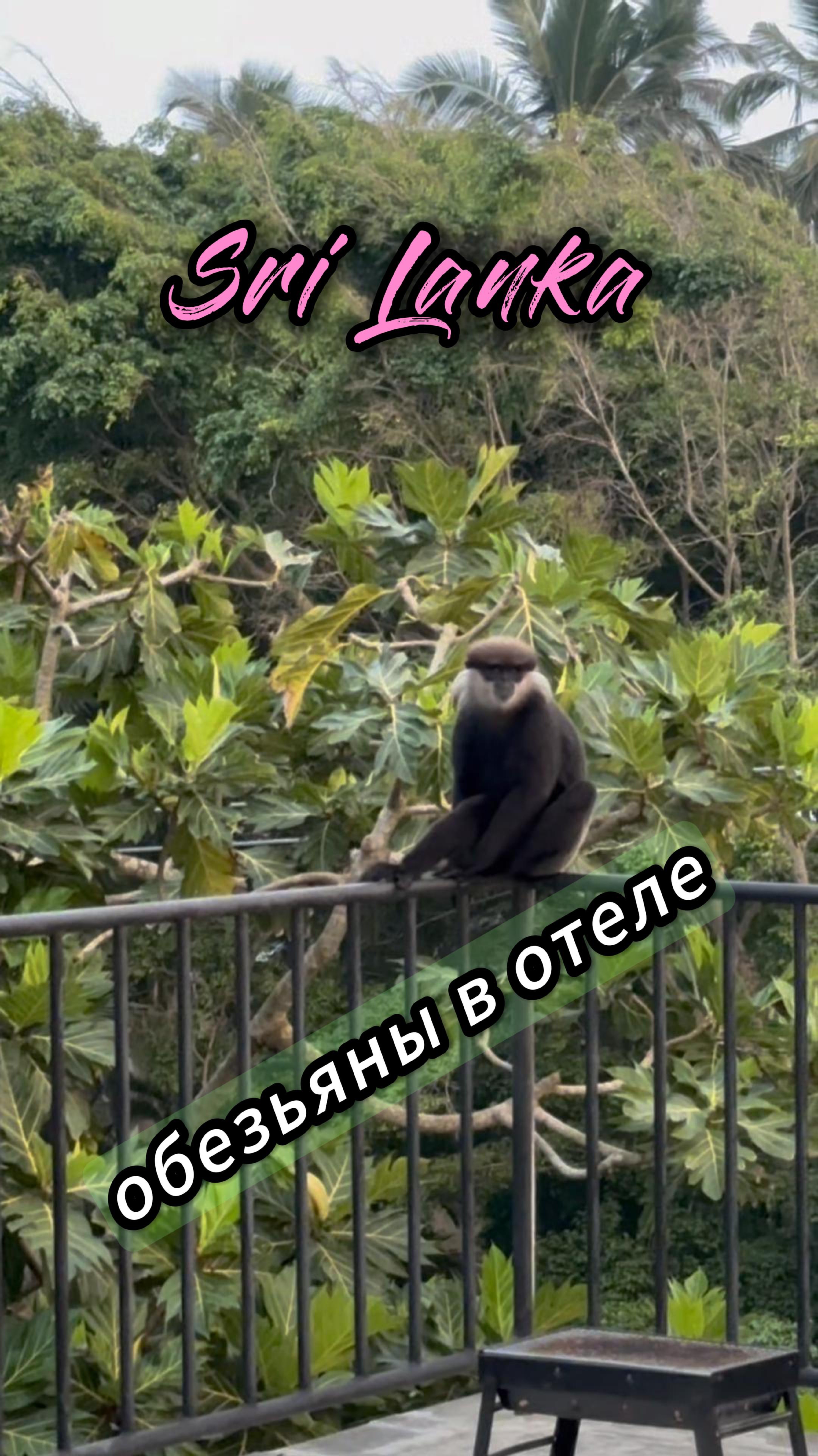 нападение на отель