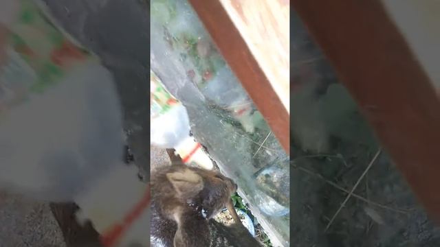 0d1f4a3fe191dc20f06ba31fdf75f71e