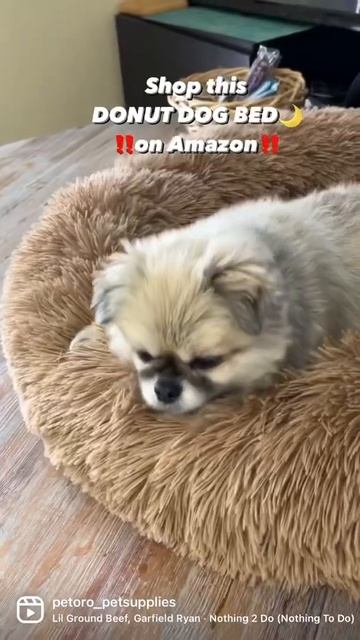 I'm Addicted To This Dog Bed!