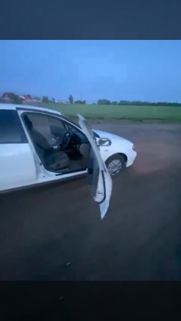 DLaudio Gryphon 165PRO