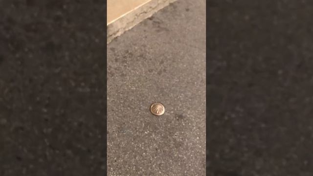 Saint Jacques De Compostelle Le Départ à La Cathédrale Saint Jean De Lyon