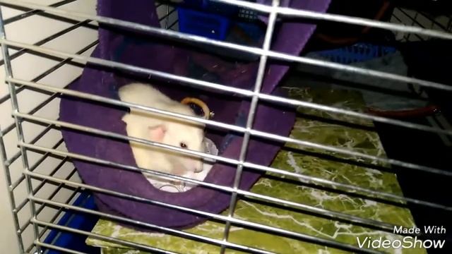 Кому не спится посреди ночи?)