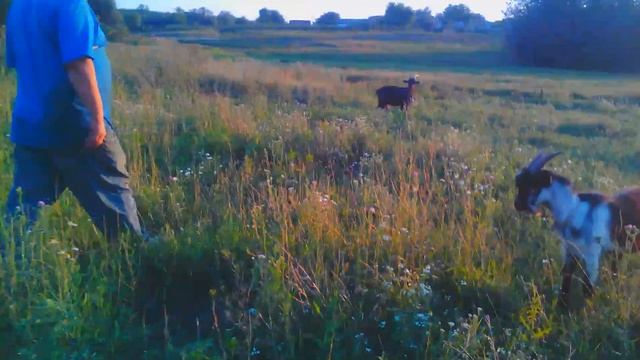 Ac4d8e1812707aec919924e5f2a538cf