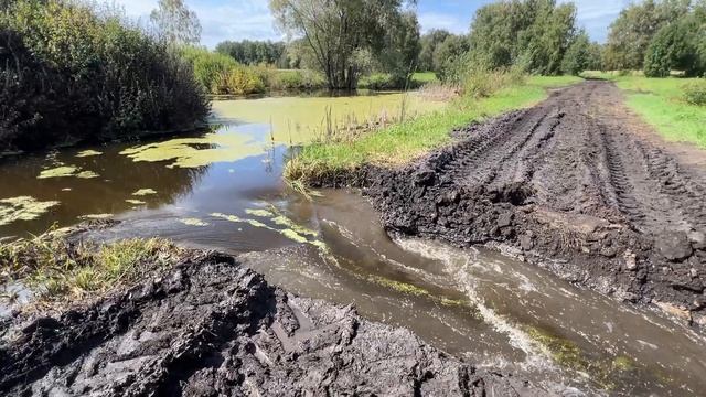 летние будни