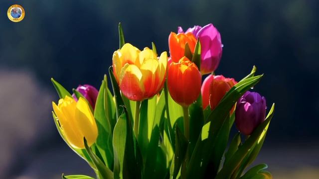 34143d59de7b63aba717bef27ef87c38