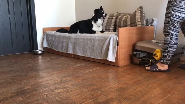 Комплекс и стоп