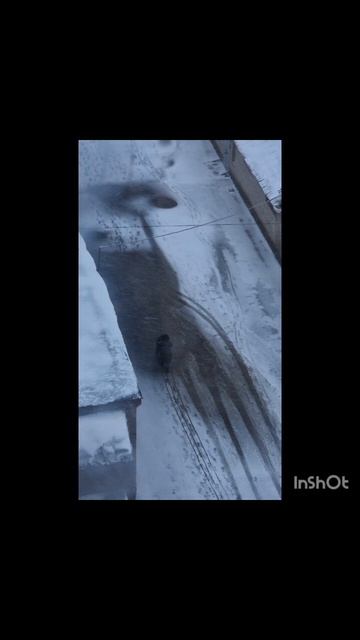 Зима в марте. 17.03.2025 года