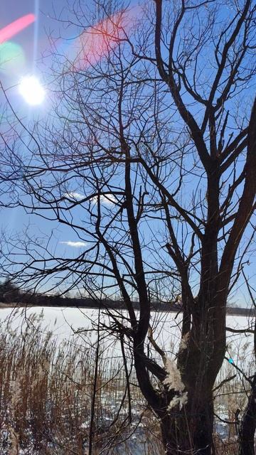 Пролетел вертолёт.