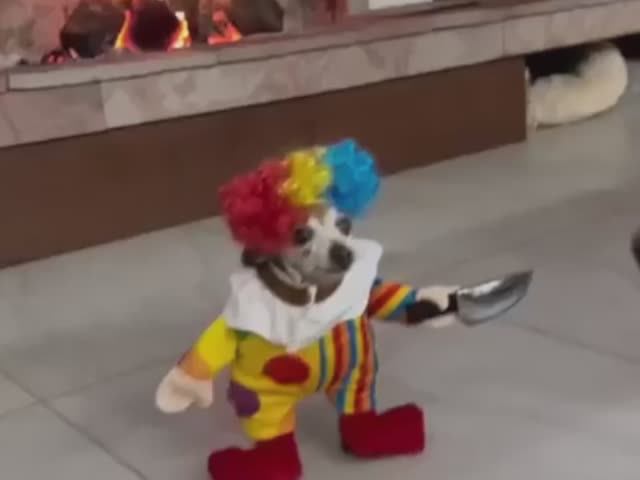 Псина из ада (хитяра, треш, жесть) Угарная песня