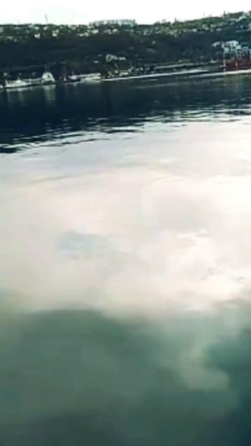 Крым Рыбалка Для души