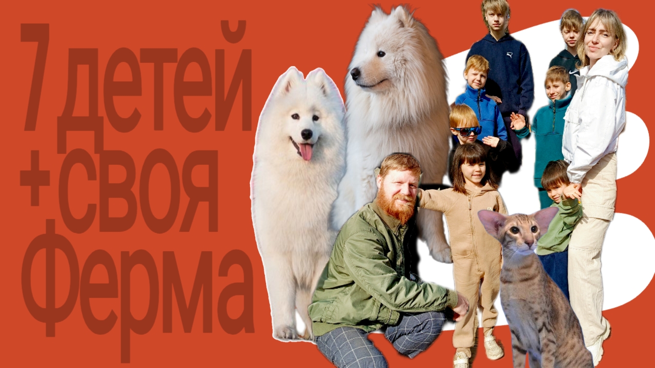 7 детей ,своя ферма ,быстрые рецепты для большой семьи #многодетные #рецепты #ферма #животные #еда