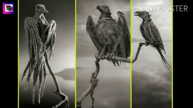 5 प्राकृतिक खूबसूरत और रहस्यमय घटनाएँ / Most Shocking Natural Phenomena On Earth/amazing Facts Hind