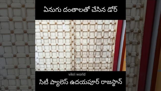 Ivory Door || ఏనుగు దంతాలతో చేసిన డోర్ || City Palace || Udaipur Rajasthan || Vikri World #shorts