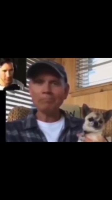 Ржака, пёсики, треш